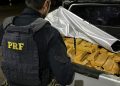 PRF apreende quase 350 quilos de droga na BR-277 em Santa Terezinha de Itaipu
