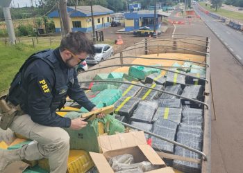 PRF apreende mais de 5,4 toneladas de drogas na BR-163, em Lindoeste