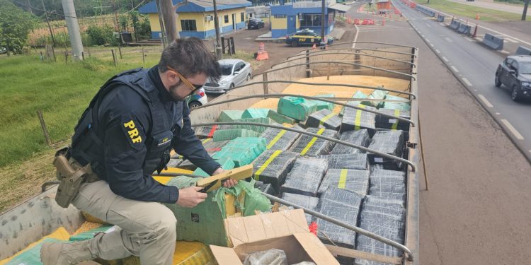 PRF apreende mais de 5,4 toneladas de drogas na BR-163, em Lindoeste