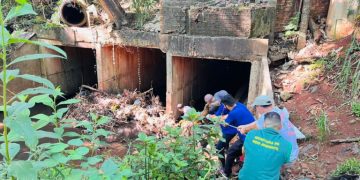 Dia Internacional da Água é celebrado com mutirão de limpeza no Rio Boicy