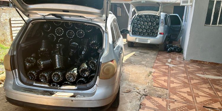 Azeite irregular é apreendido em depósito clandestino no Porto Meira