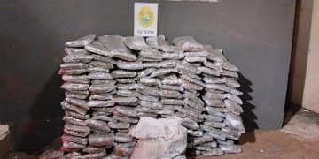 PM apreende 169 quilos de maconha e prende suspeito após tentativa de fuga