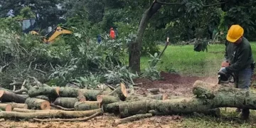 Empresa vence licitação da Escola Lúcia Marlene com preço abaixo da média de mercado