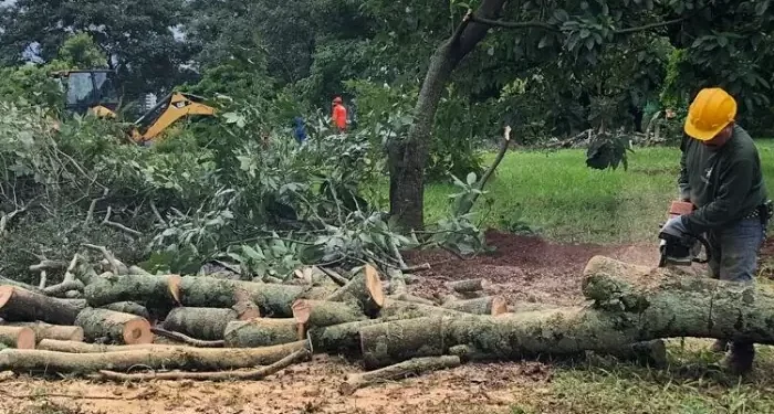 Empresa vence licitação da Escola Lúcia Marlene com preço abaixo da média de mercado