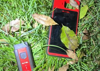 Guarda Municipal prende indivíduo escondido no mato após tentativa de furto de caminhonete