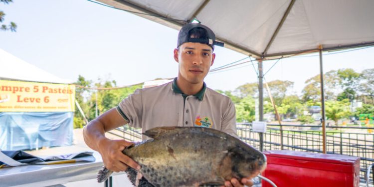 Feira do Peixe em Foz do Iguaçu supera expectativas e vende mais de 10 toneladas de pescado