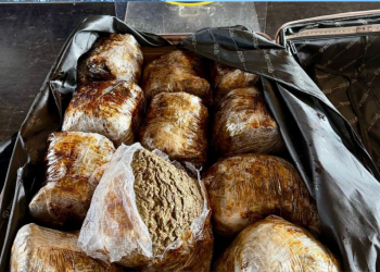 Receita Federal apreende 10 quilos de haxixe na Ponte da Amizade