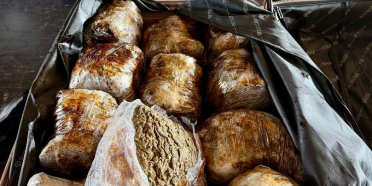 Receita Federal apreende 10 quilos de haxixe na Ponte da Amizade