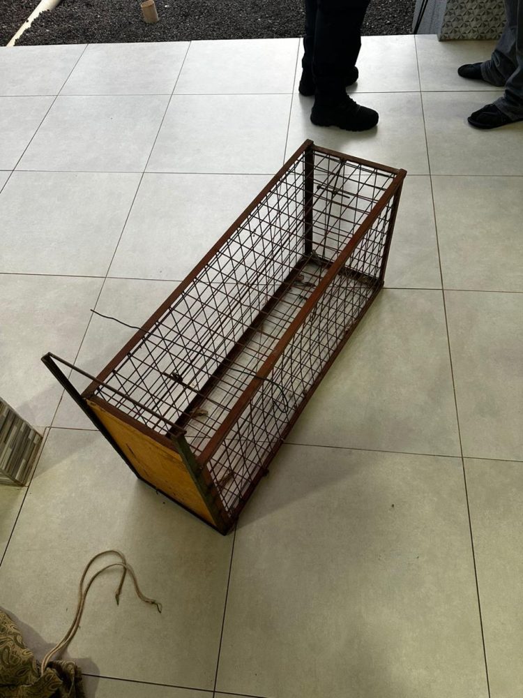 PF desarticula esquema de caça ilegal e apreende armas no Parque Nacional do Iguaçu