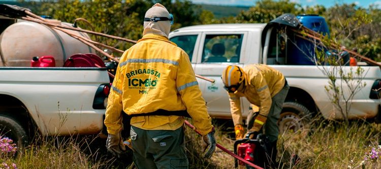 ICMBio abre seleção para brigadistas no Parque Nacional do Iguaçu